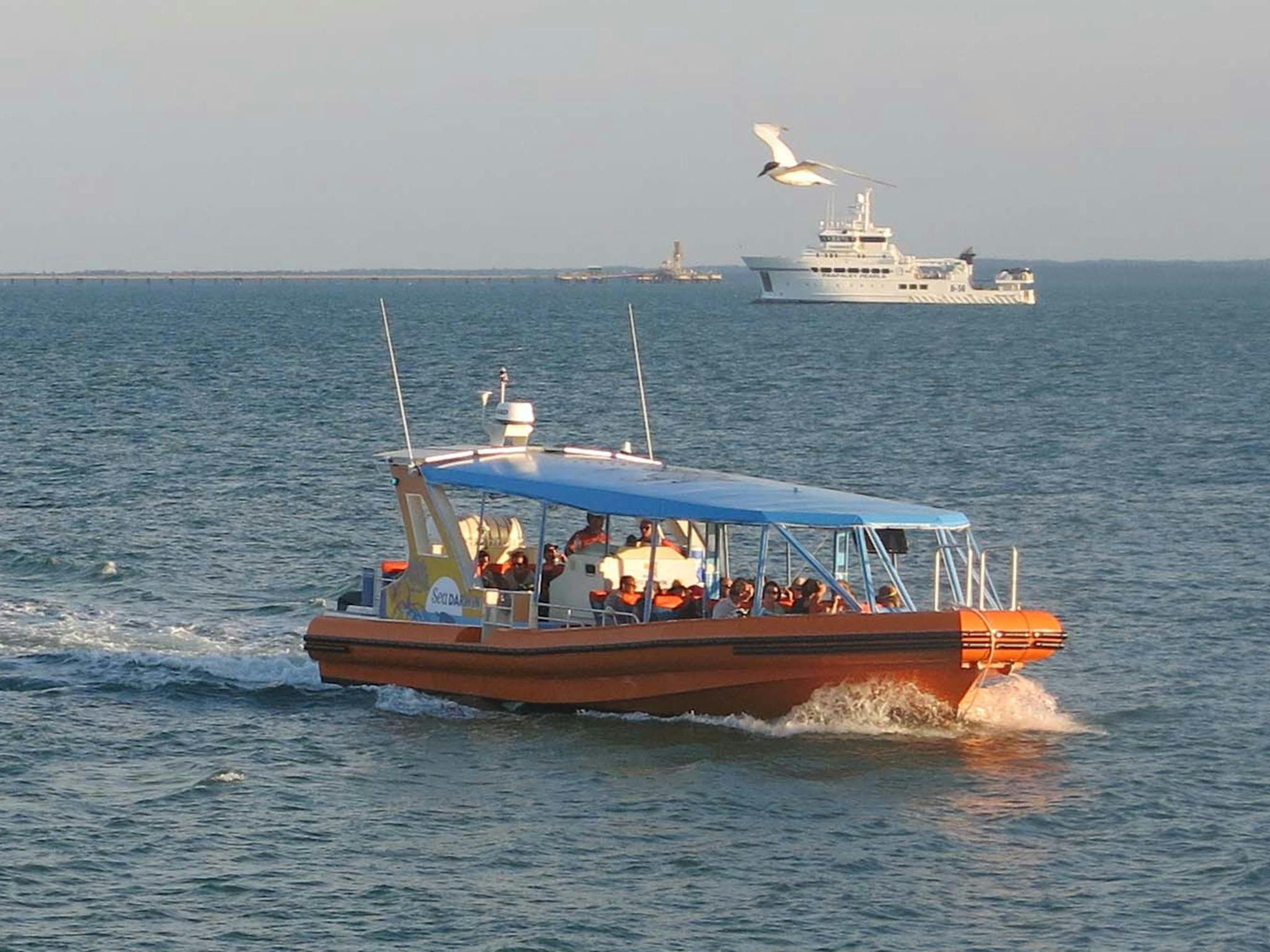 Sea Darwin Vessel