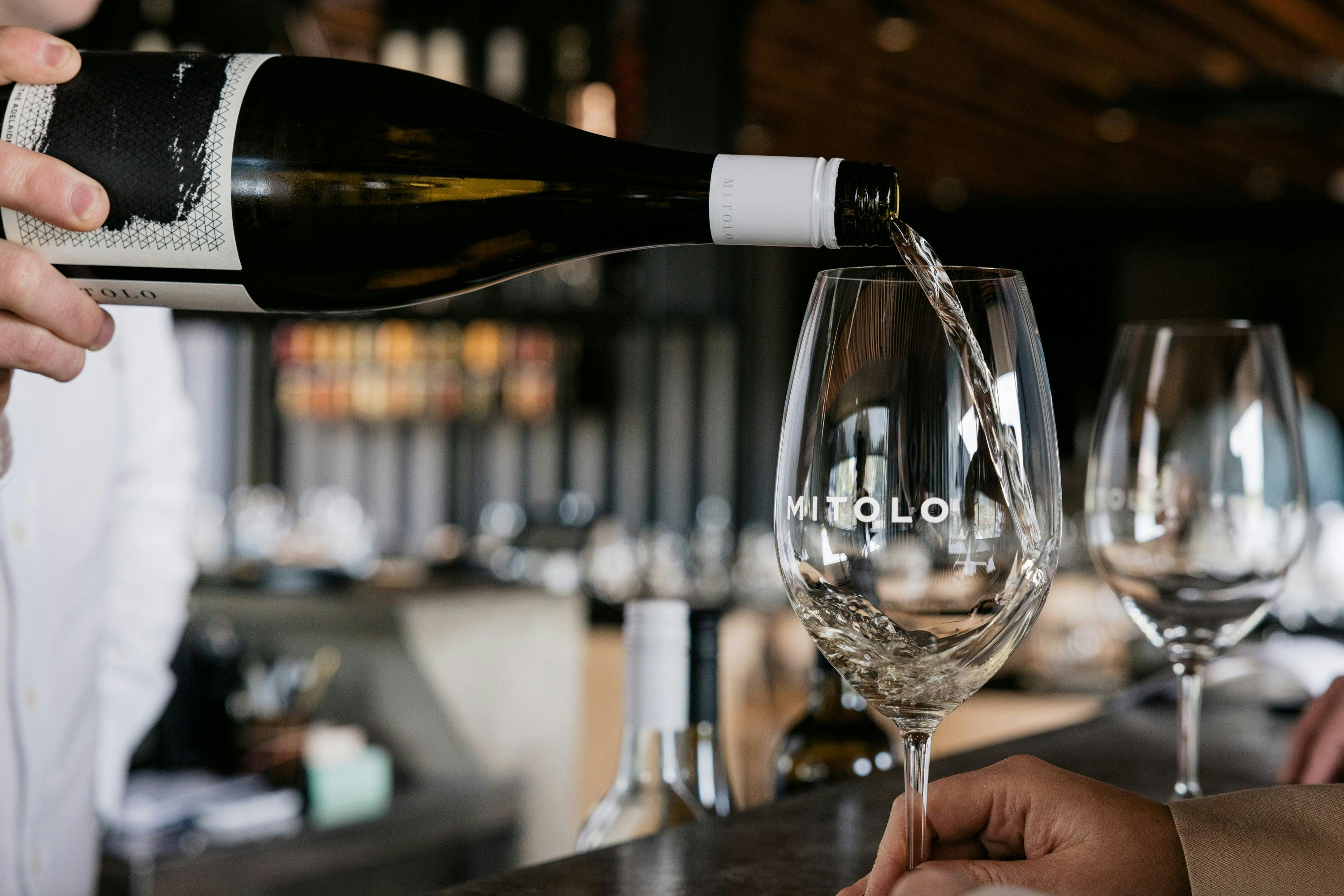 Mitolo Wine Tasting Experiences