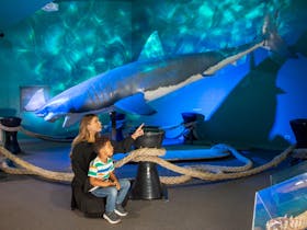 Family visiting Shakka the Shark