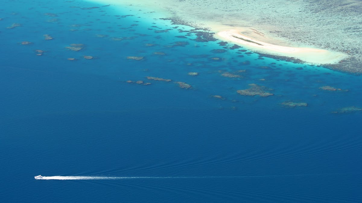 Seastar making its appraoch to Michaelmas Cay. Cairns' largest coral sand cay