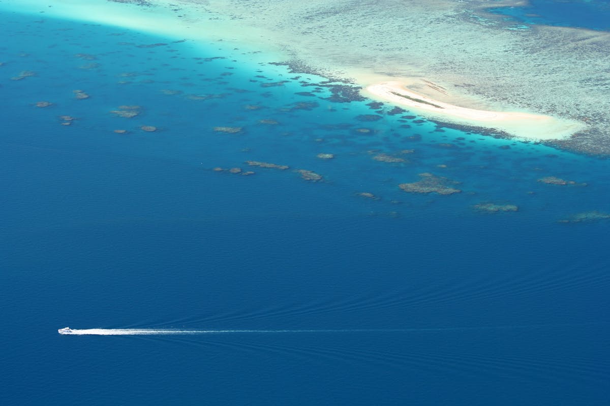 Seastar making its appraoch to Michaelmas Cay. Cairns' largest coral sand cay