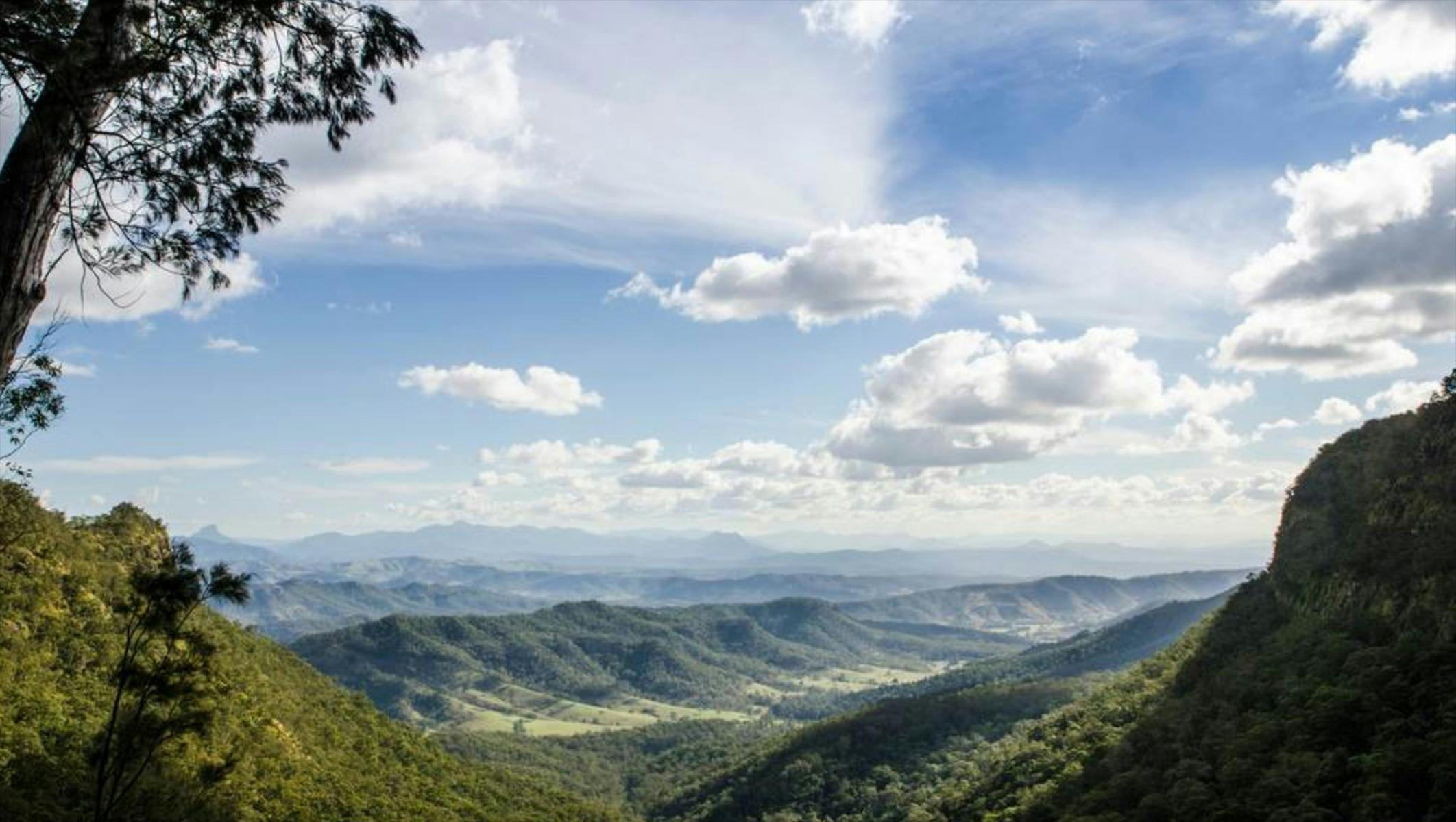 Gold Coast Hinterland Highlights 7