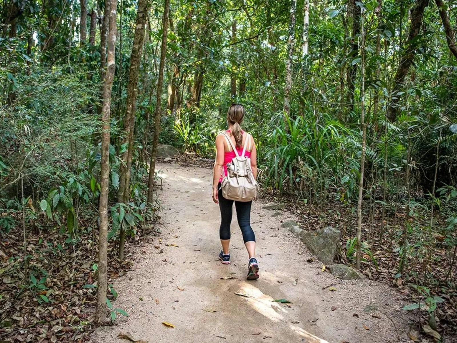 daintree-rainforest_walker