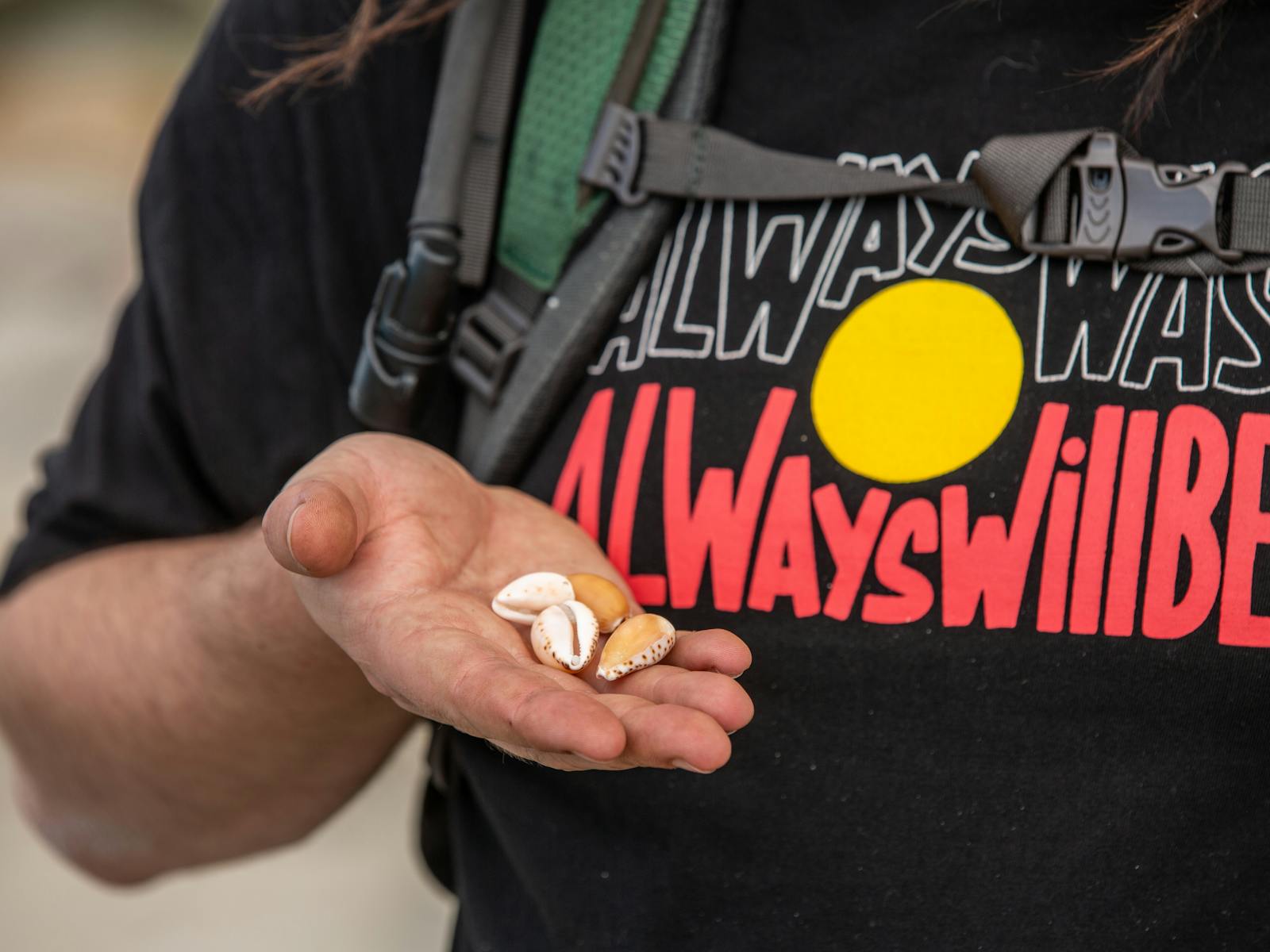wukalina Walk is a palawa owned and guided walking and cultural experience in NE lutruwita/Tas