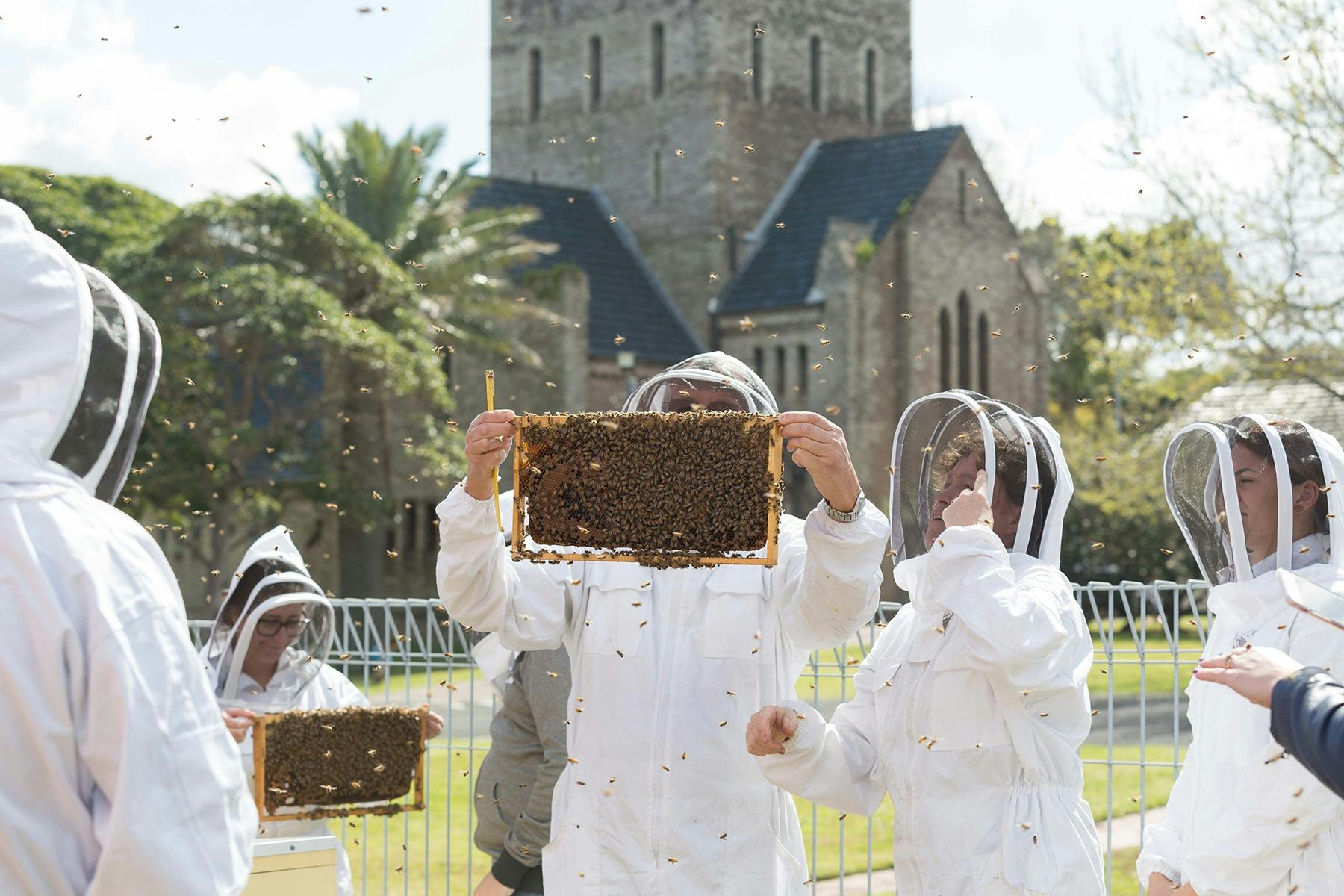 Backyard Beekeeping workshop with students looking at a frame of honey bees.