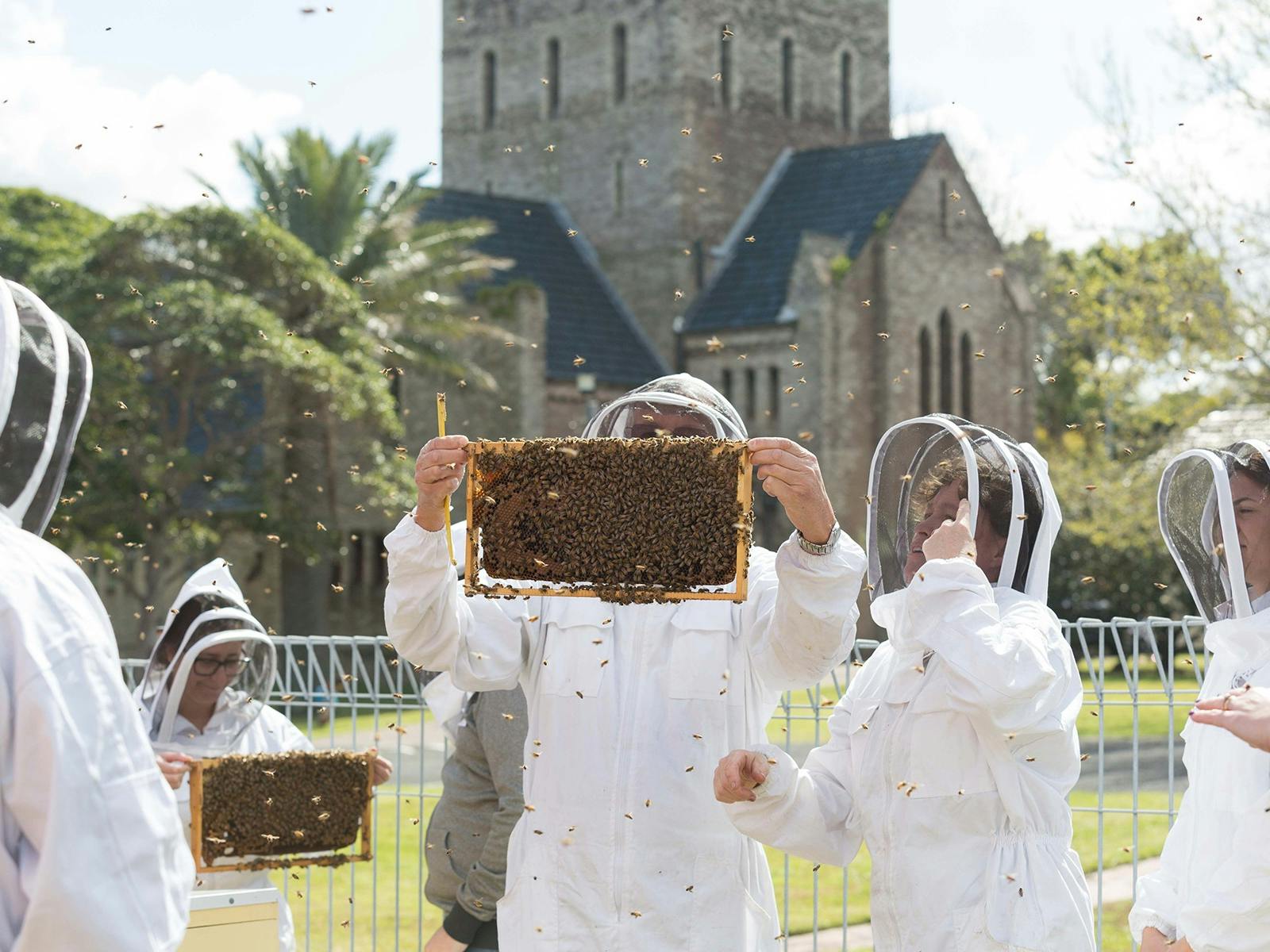 Backyard Beekeeping workshop with students looking at a frame of honey bees.