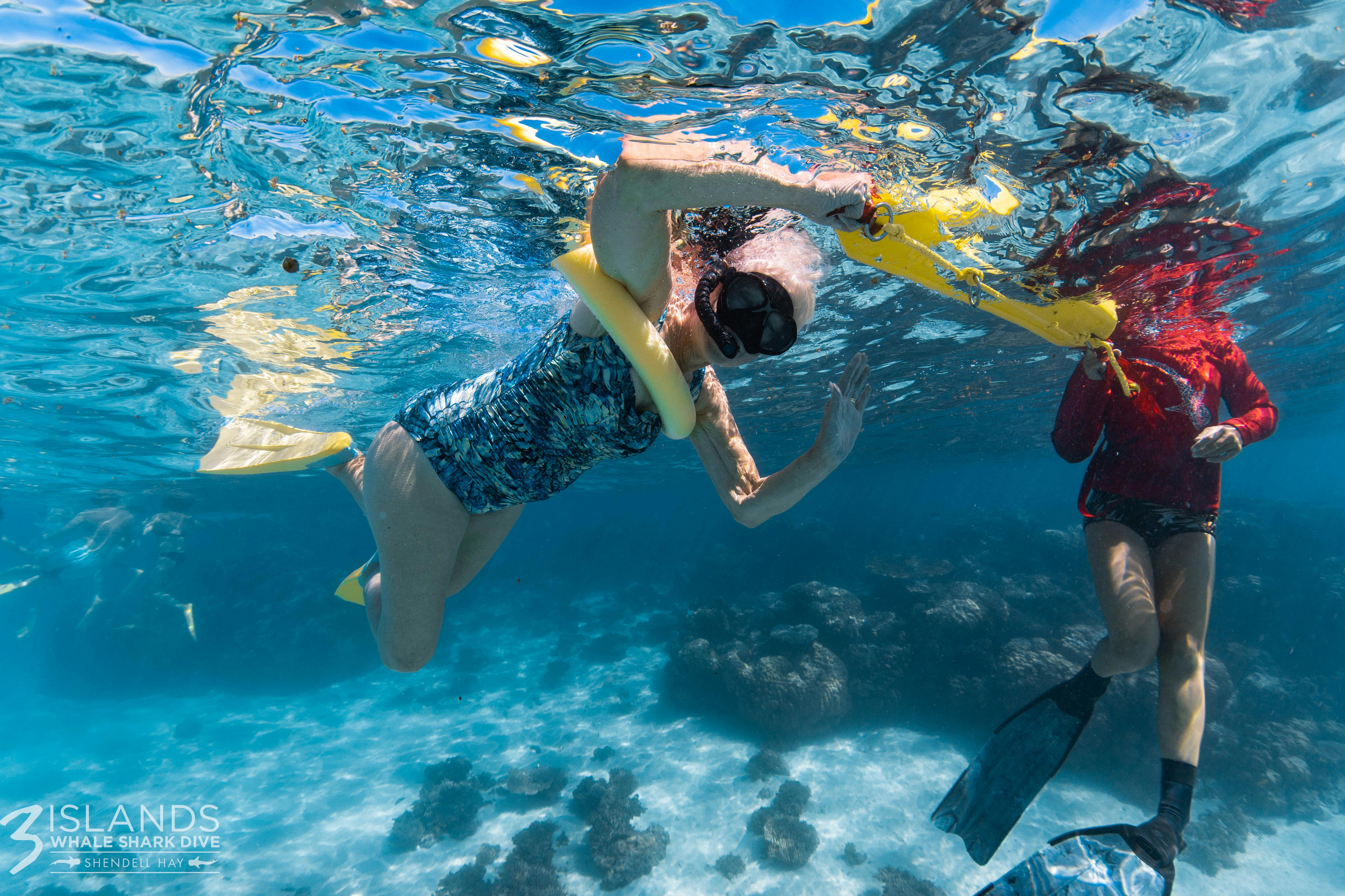 Reef Snorkel