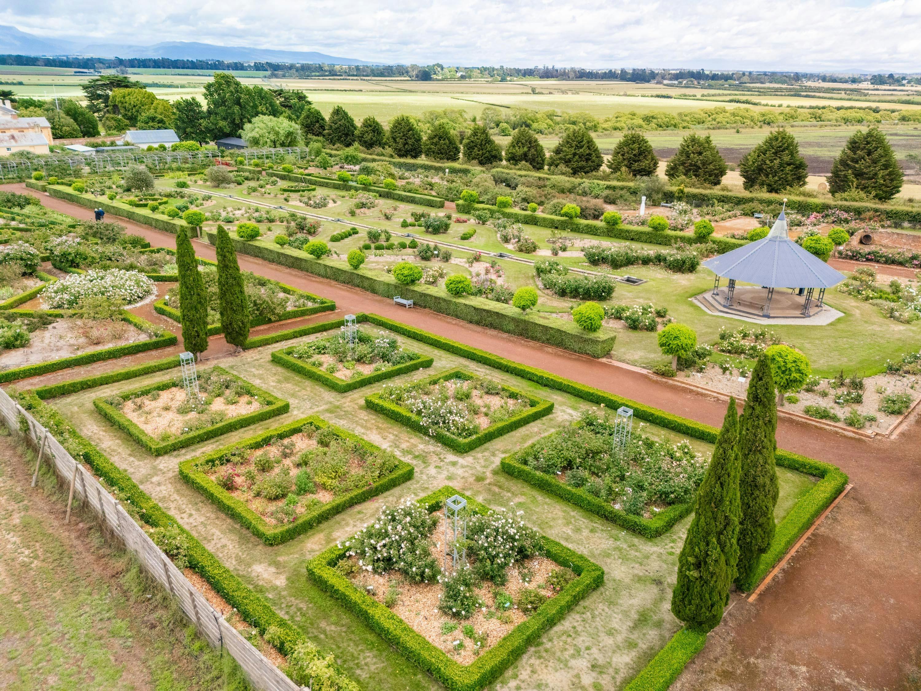 Expansive Rose Garden