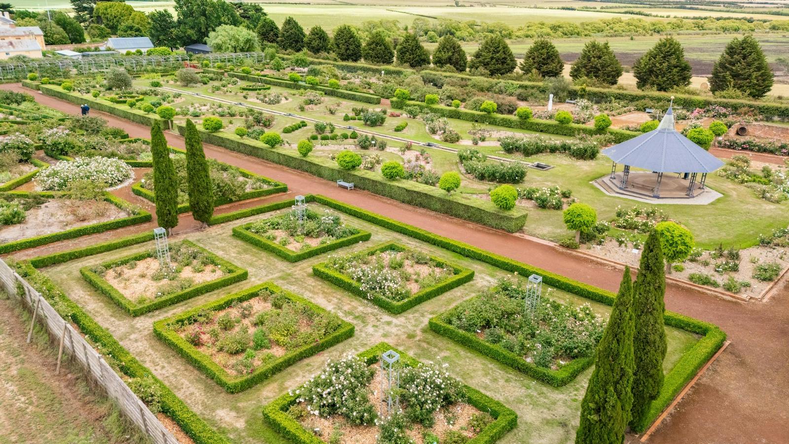 Expansive Rose Garden