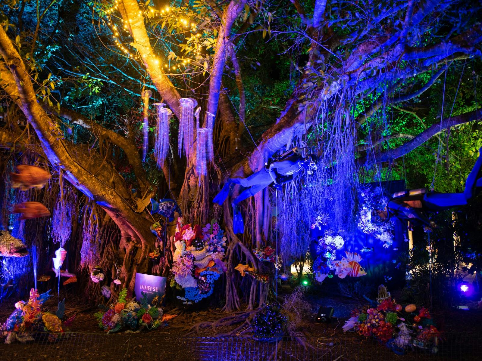 Great Barrier Reef Festival Art Installation