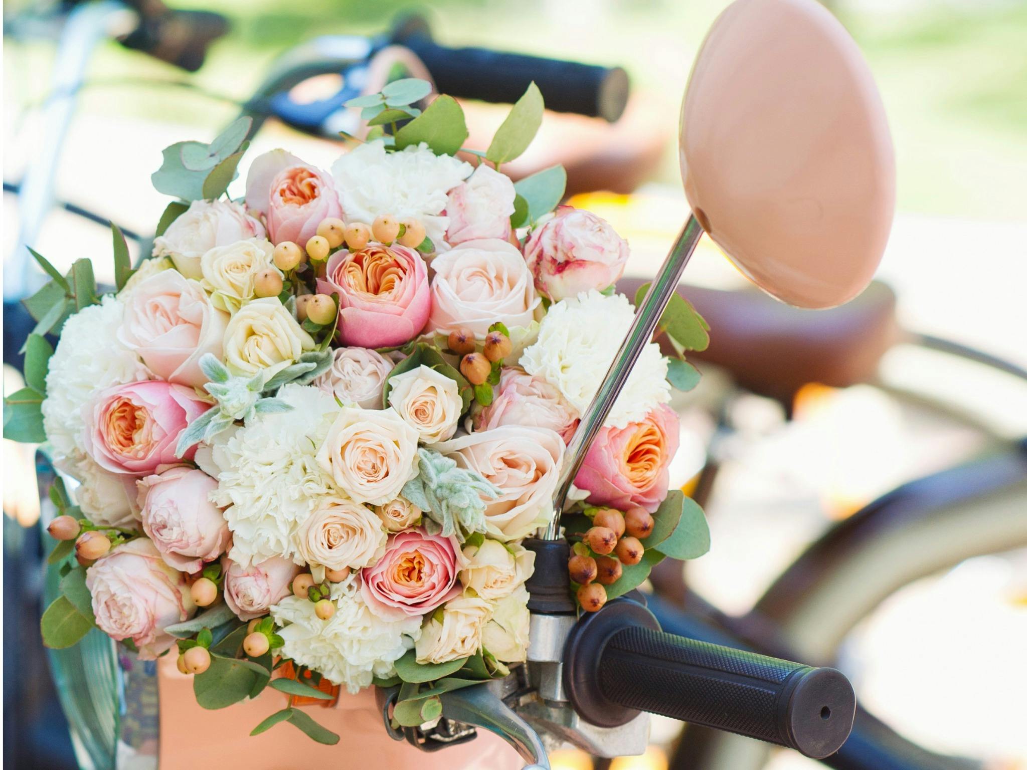 A fancy trike adventure with Beach to Bush Trike Tours