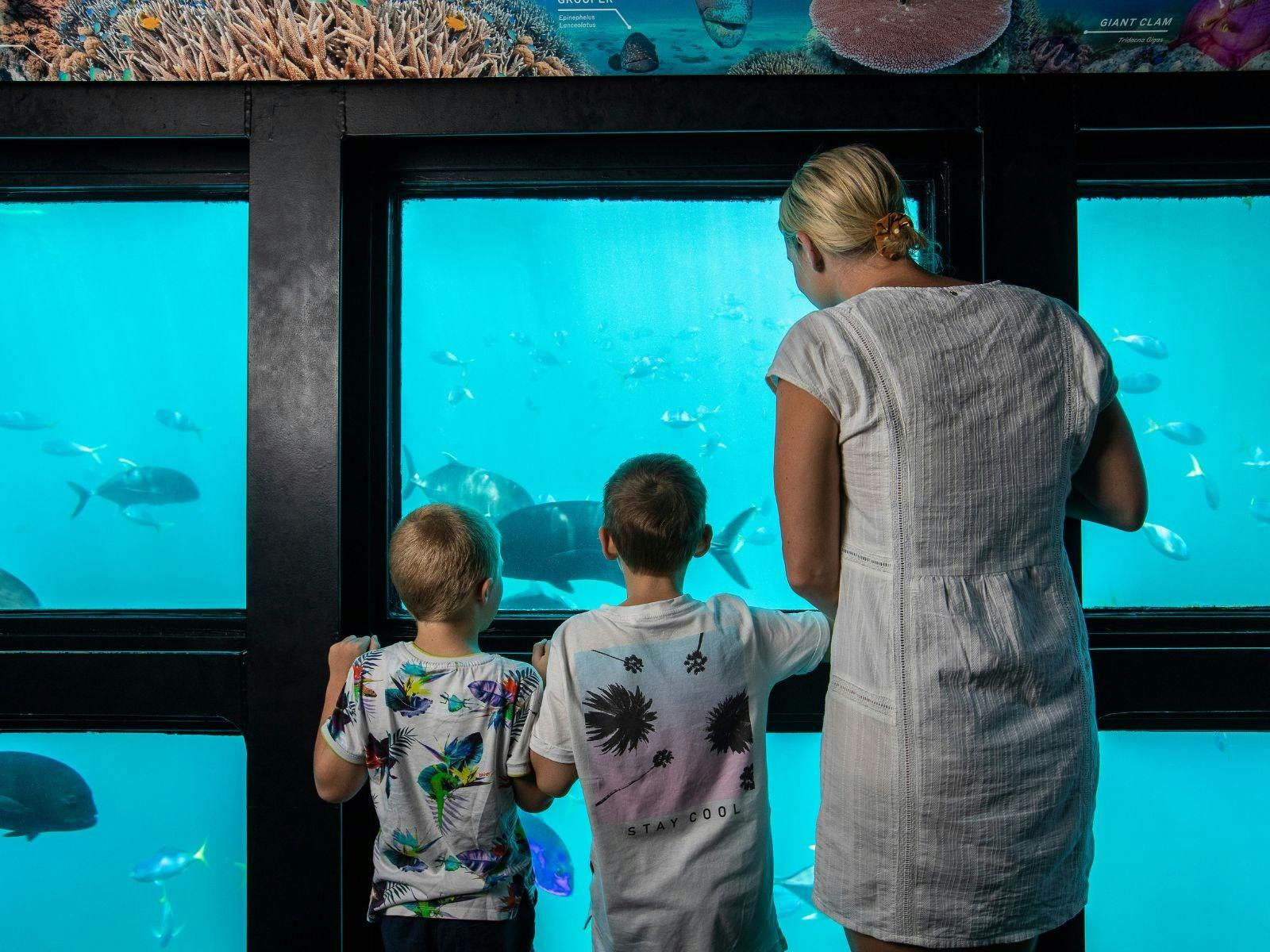 A  family in the underwater observatory