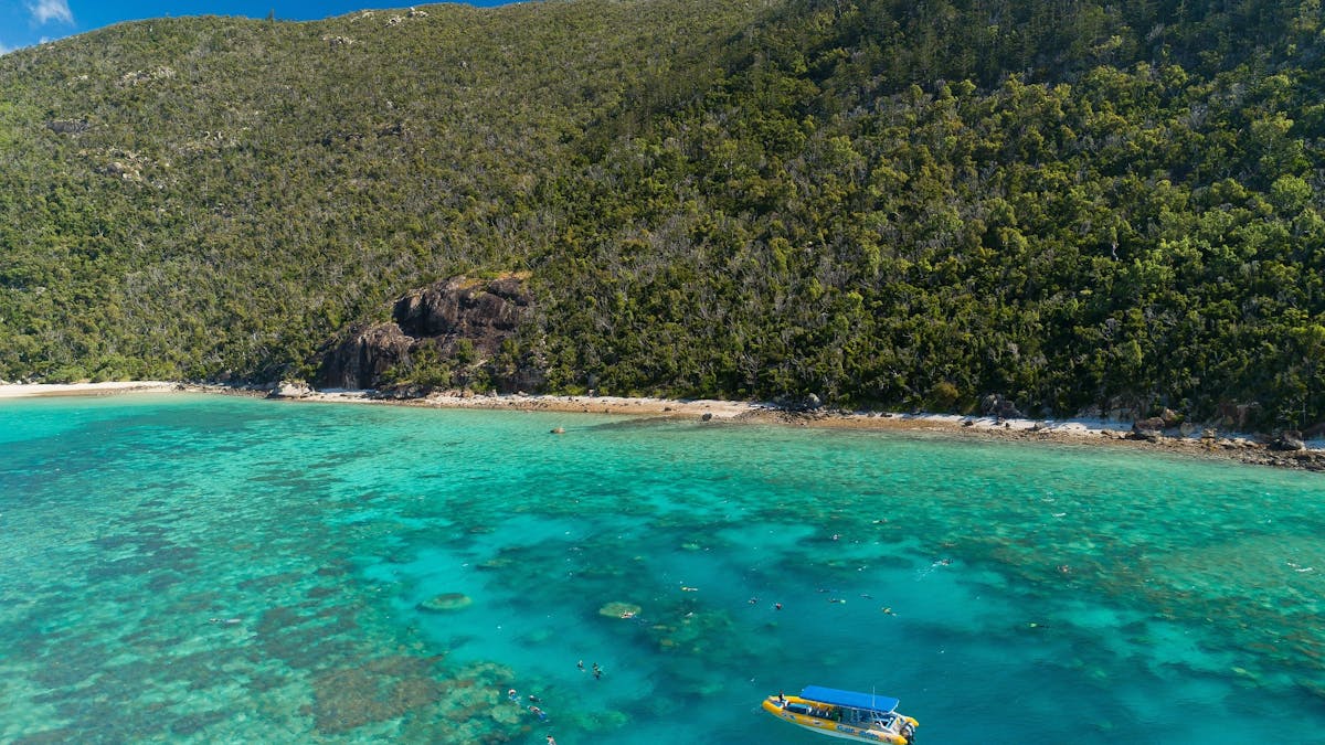 Ocean rafting vessel and lots of snorkellers in water with lots of coral and island beach nearby
