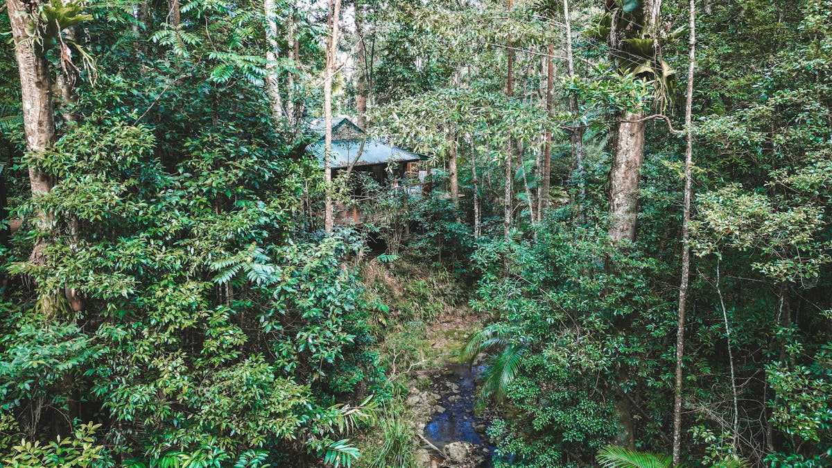 Kookaburra villa Narrows Escape Rainforest Retreat Montville Sunshine Coast Hinterland