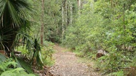 Lake walking track