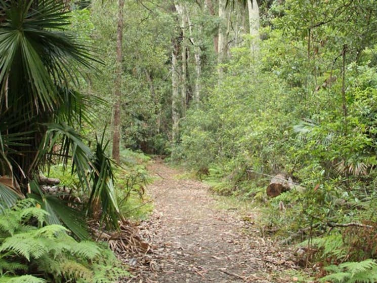 Lake walking track