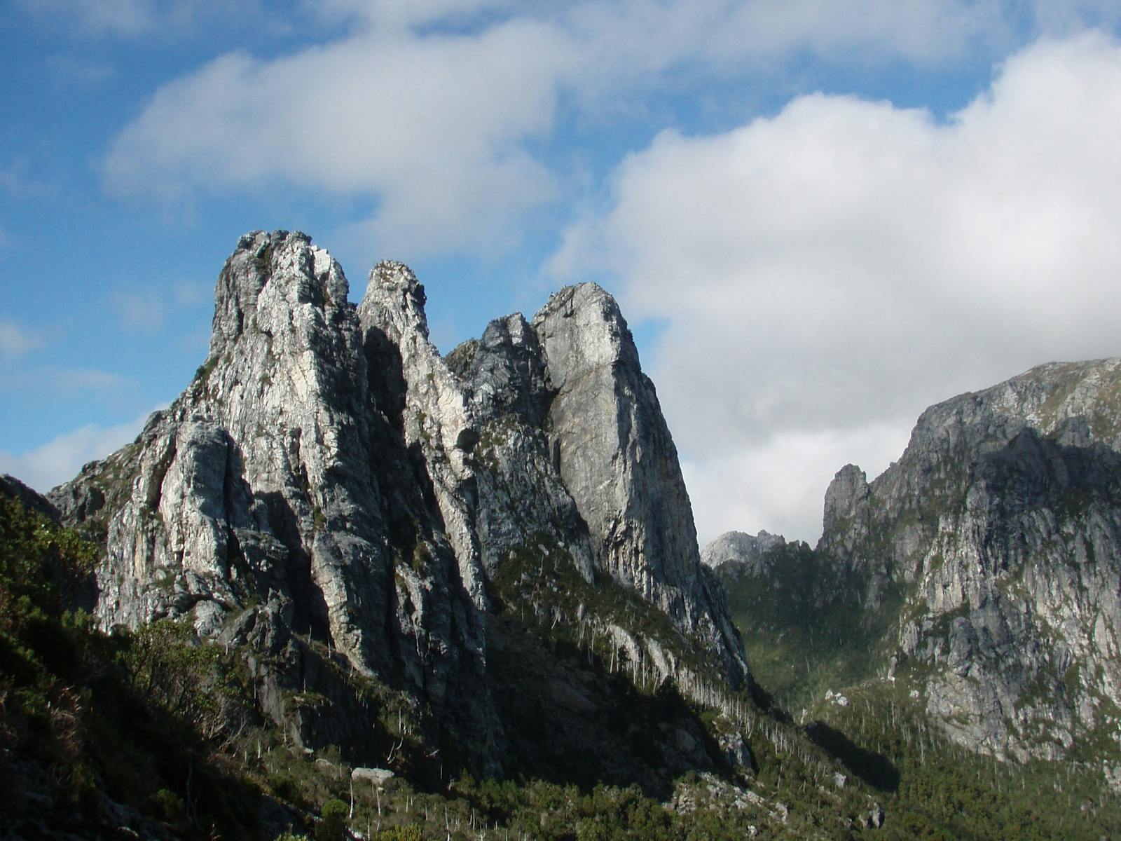 Trek Tasmania