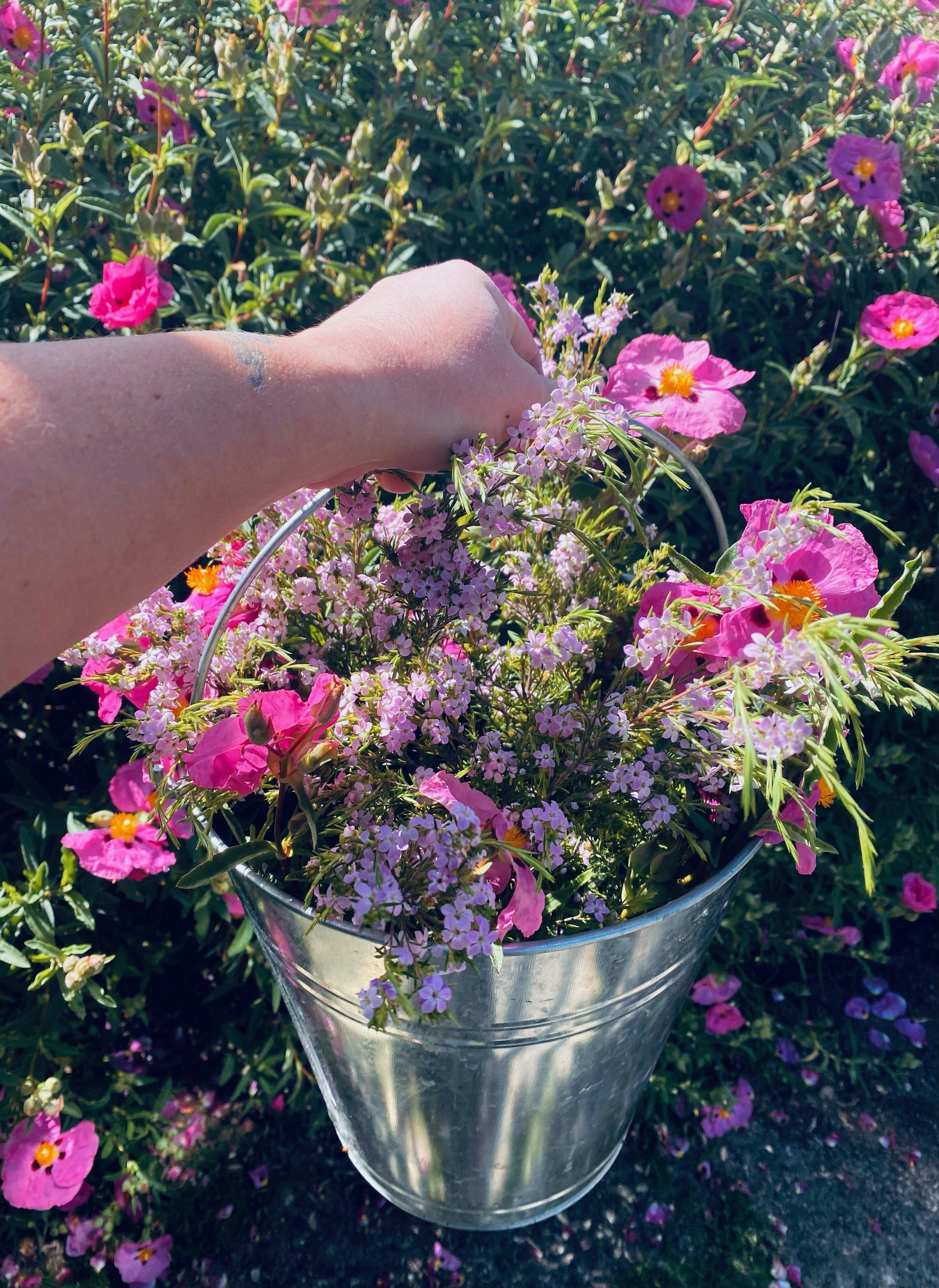 Tumbarumba Spring Flower Festival