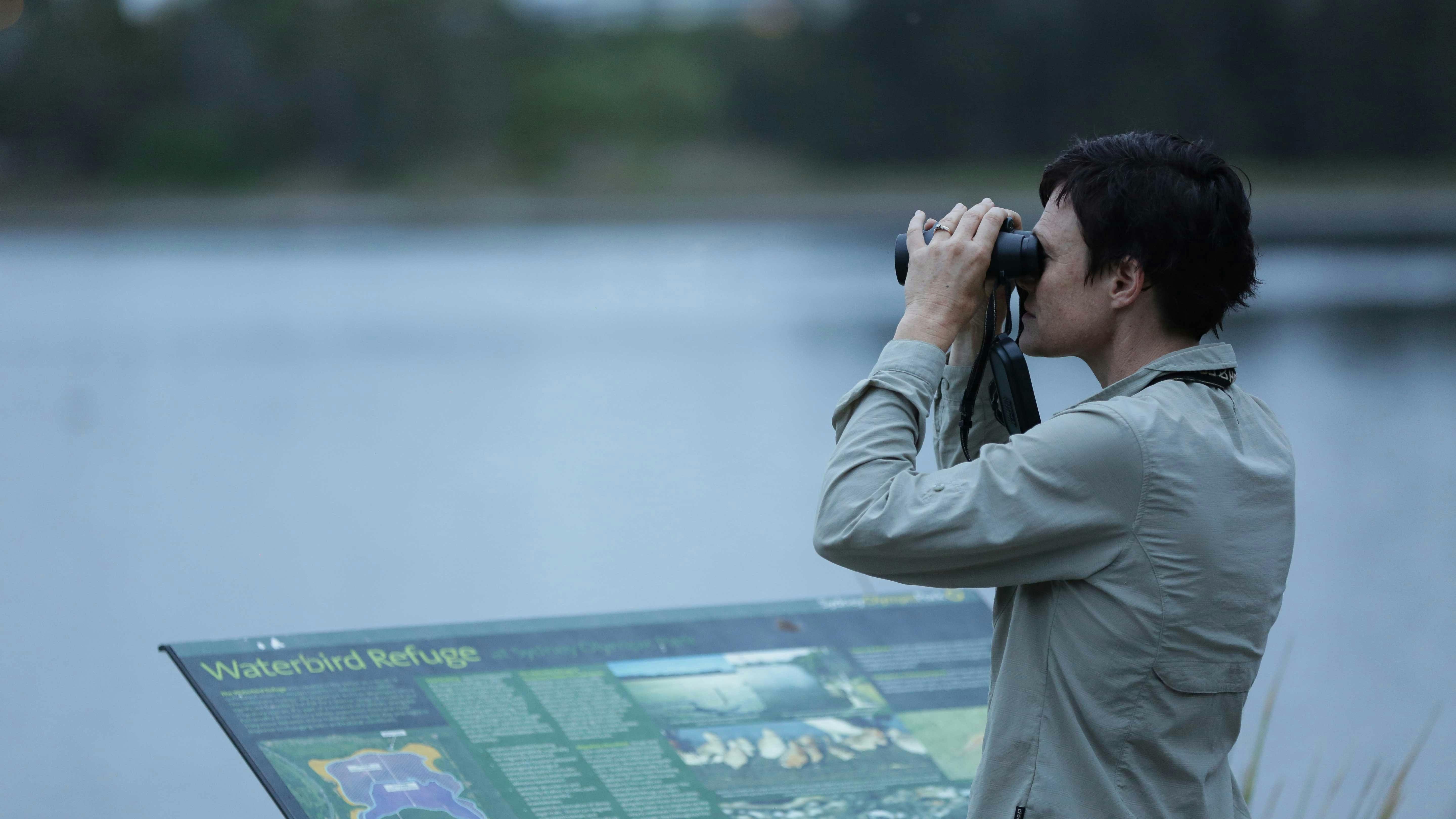 Geführte Vogelwanderungen - Jeden letzten Sonntag im Monat