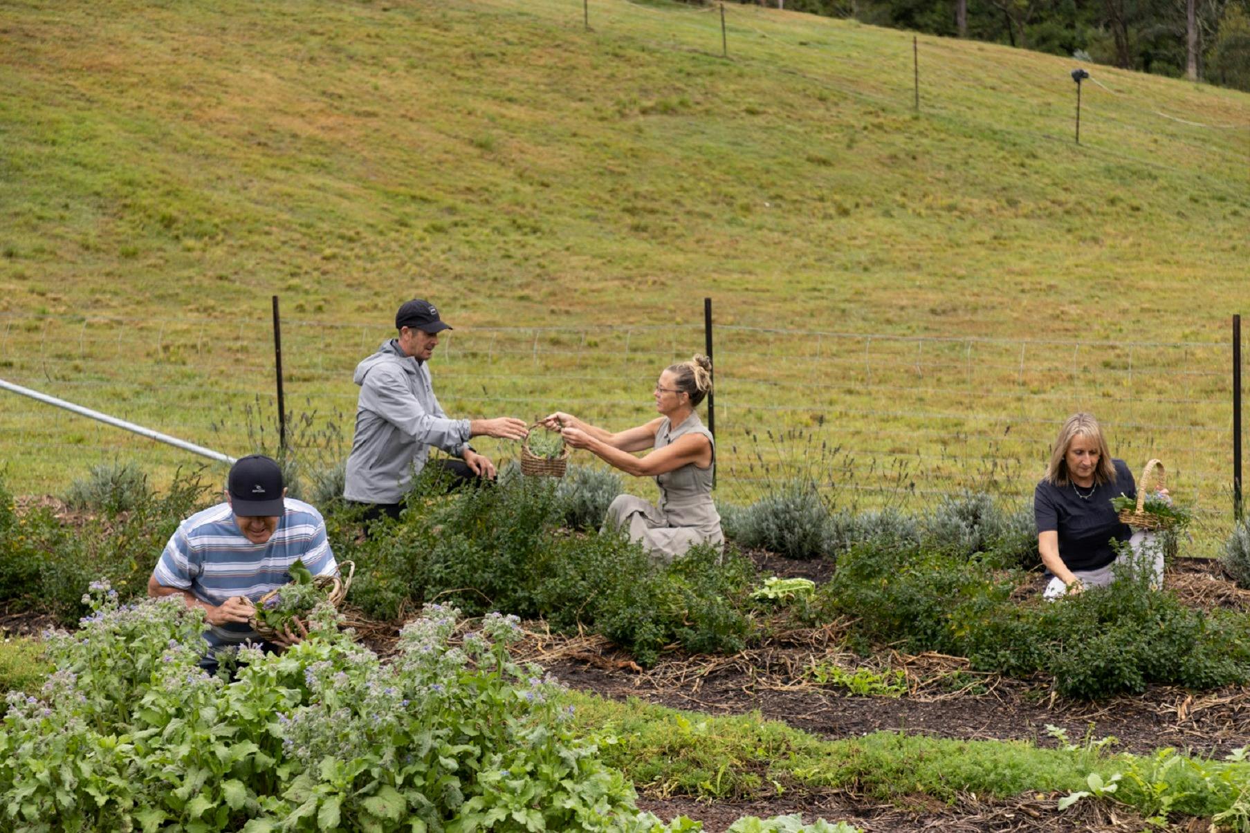 Regenerative Farm Tour