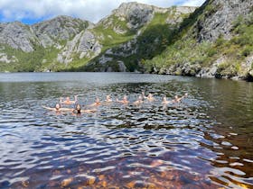 Under Down Under Tours