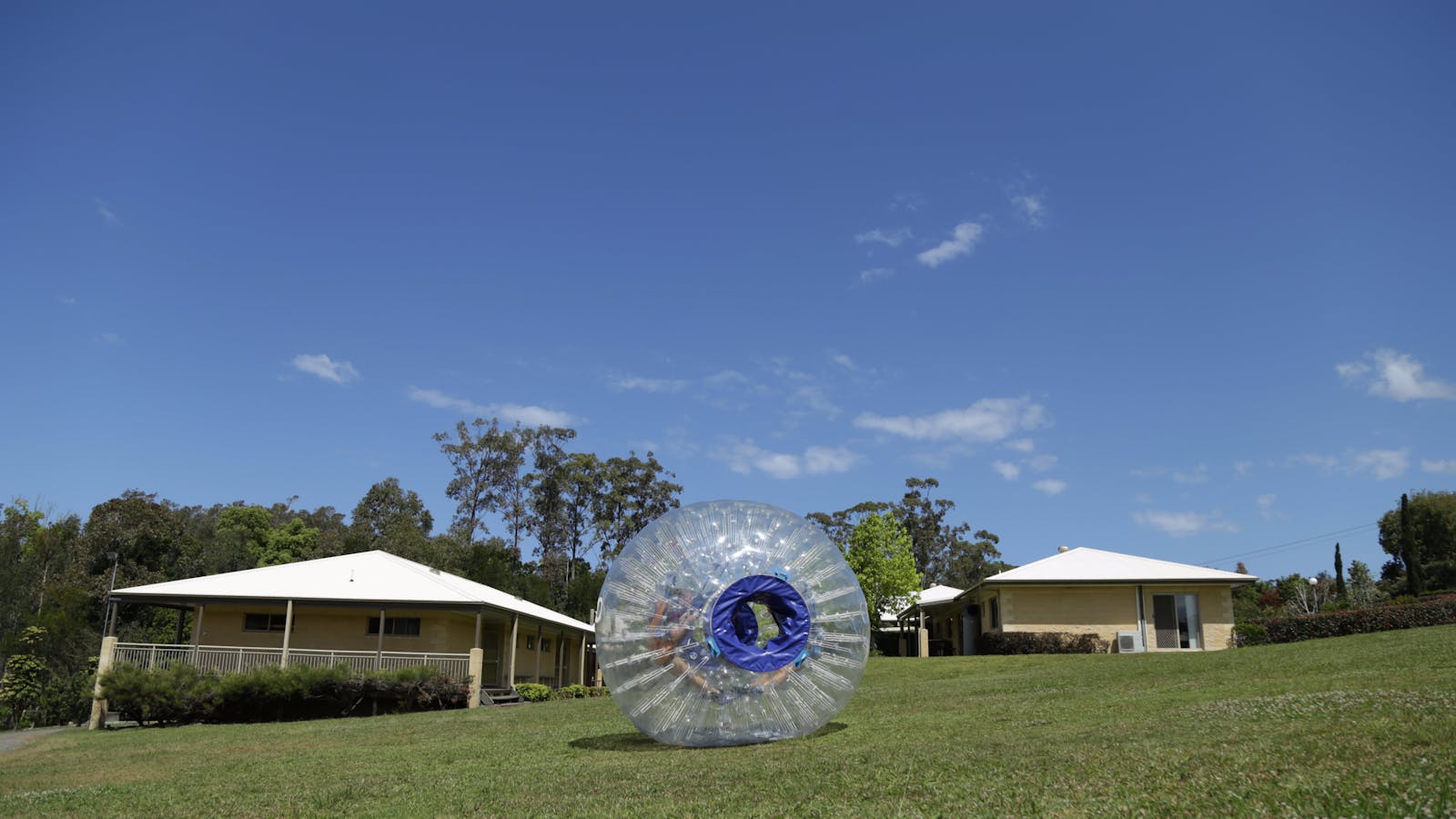 Z-Ball