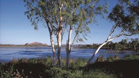 Bandicoot Bar, Kununurra, Western Australia