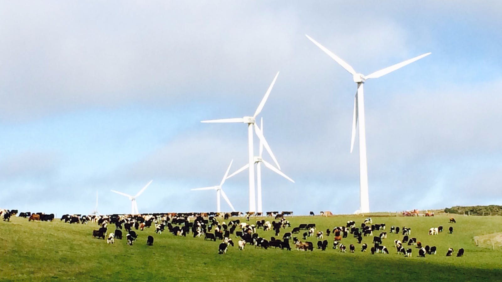 Woolnorth Tours