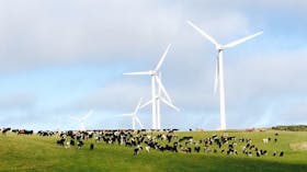 Woolnorth Tours