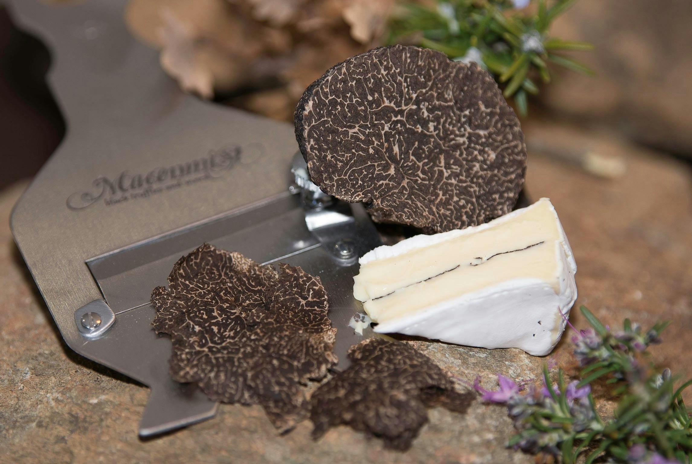 Fresh truffle and truffled brie