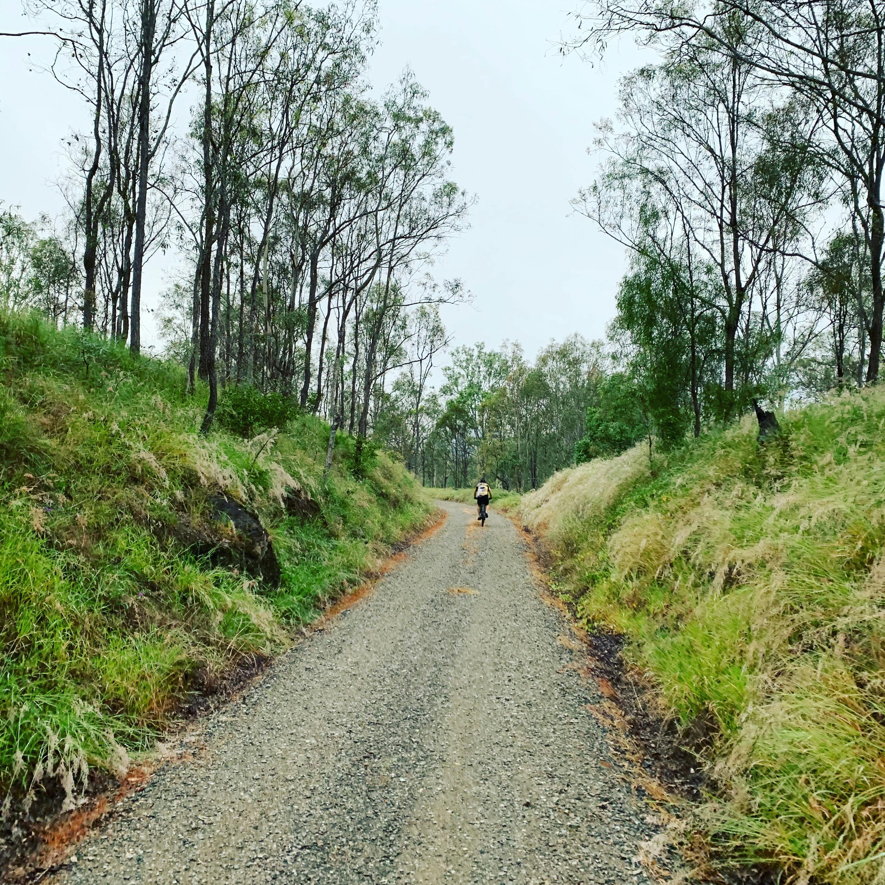 Rail trail