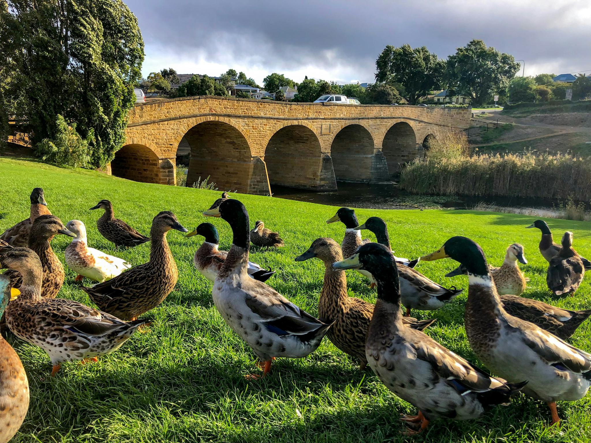 Just one of the friendly welcomes we encounter on our full day tour to Wineglass Bay