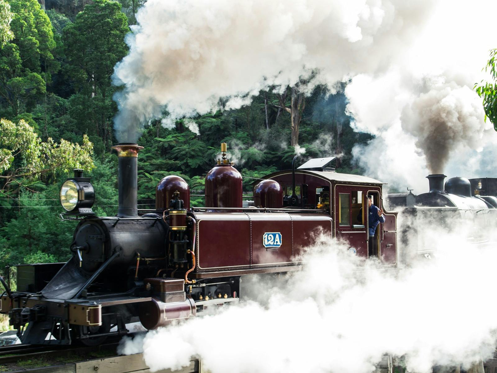 Steam surrounds Puffing Billy steam train as it prepares to leave the station
