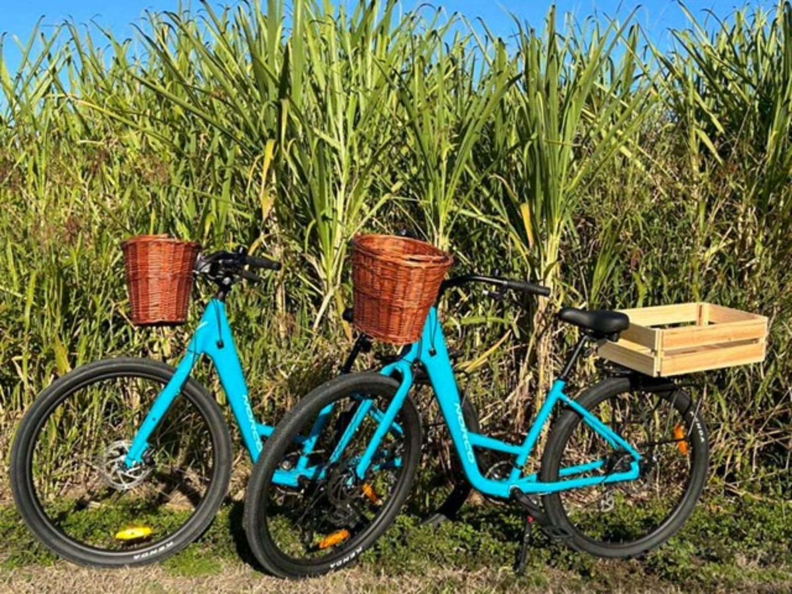 Pedals and Picnics push bike hire