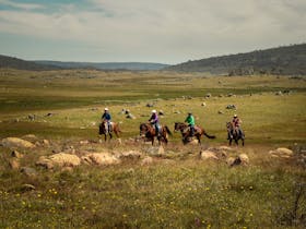 horse riders riding on the open plain