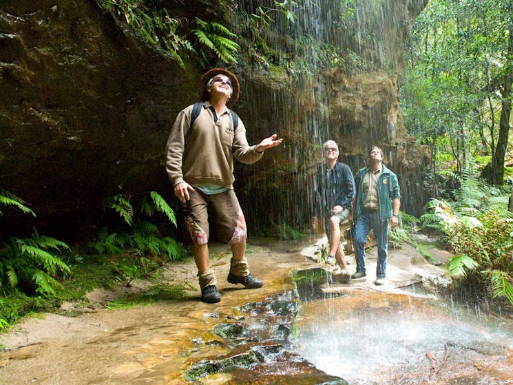 Grand Canyon Track, Blue Mountains National Park. Photo: Steve Alton/NSW Government