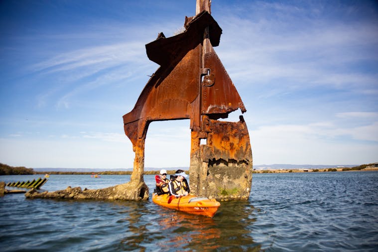 Dolphin Sanctuary Kayaking Adventure