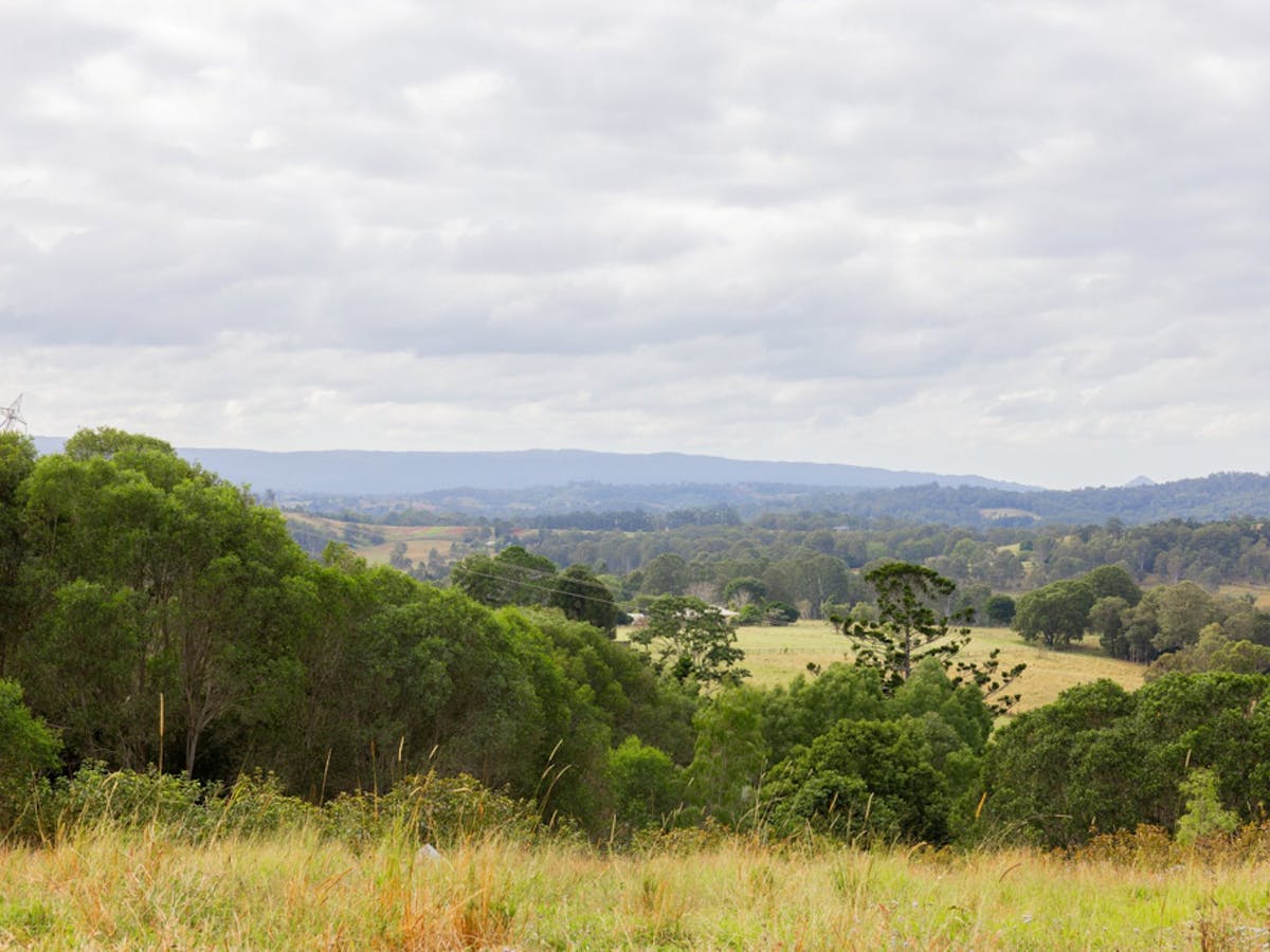View from the lookout