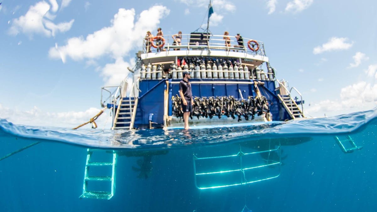 Reef Experience's Snorkel & Dive Platform