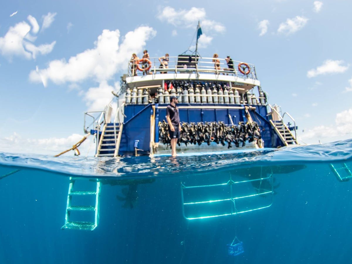 Snorkel & Dive Platform