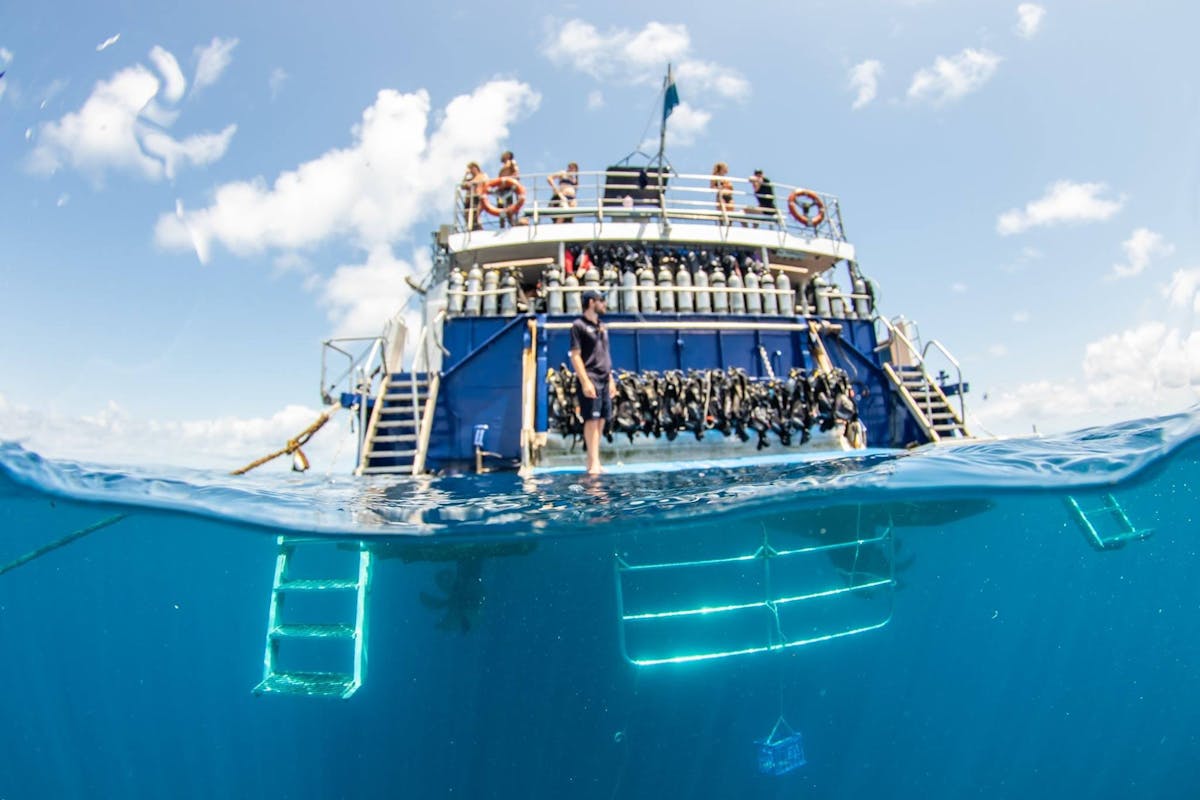 Snorkel & Dive Platform