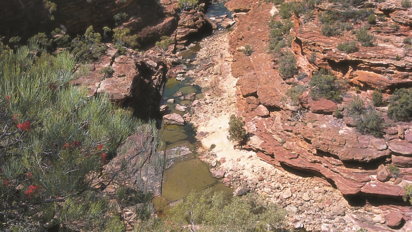 Ross Graham Lookout