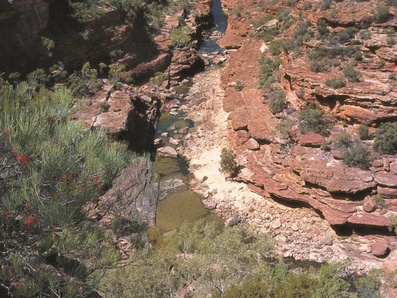 Ross Graham Lookout