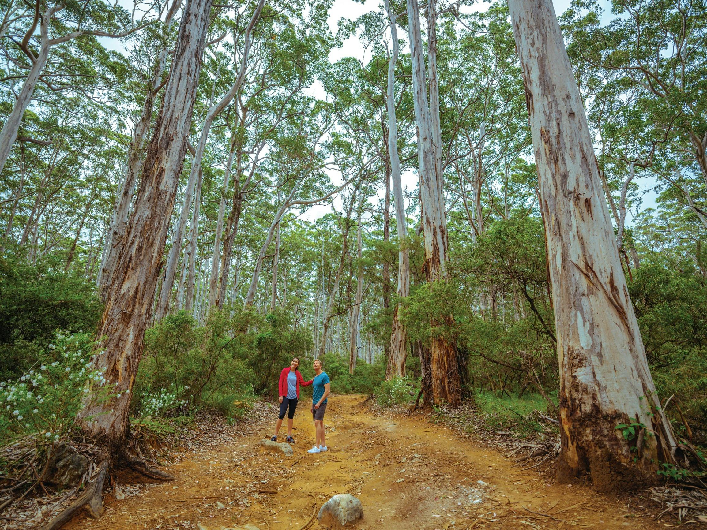 Best of the South West, Margaret River, Western Australia