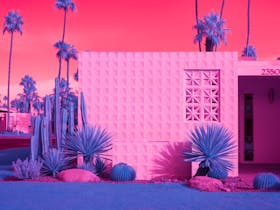 Lost in Palm Springs Cover Image