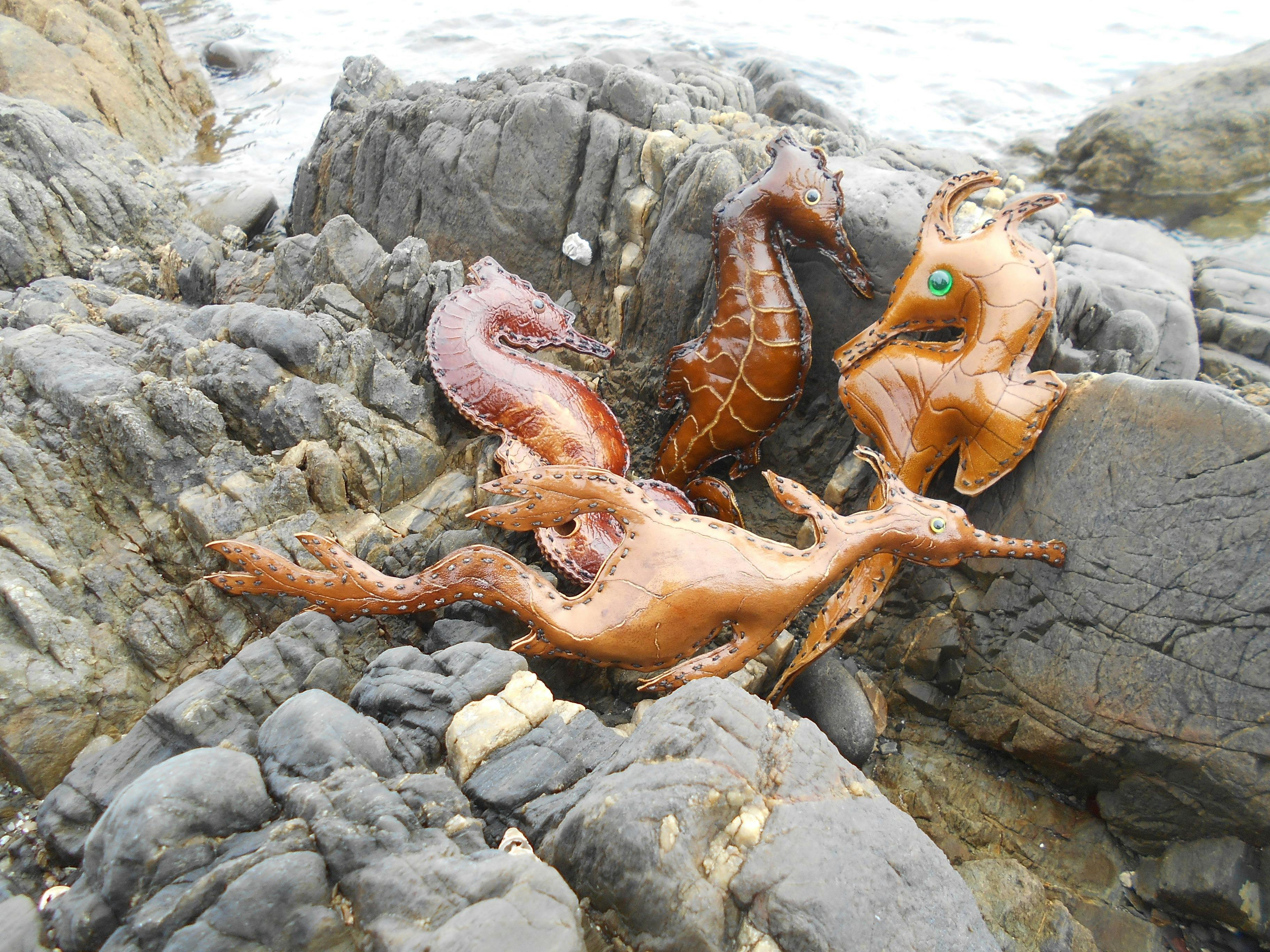 King Island Kelp Craft
