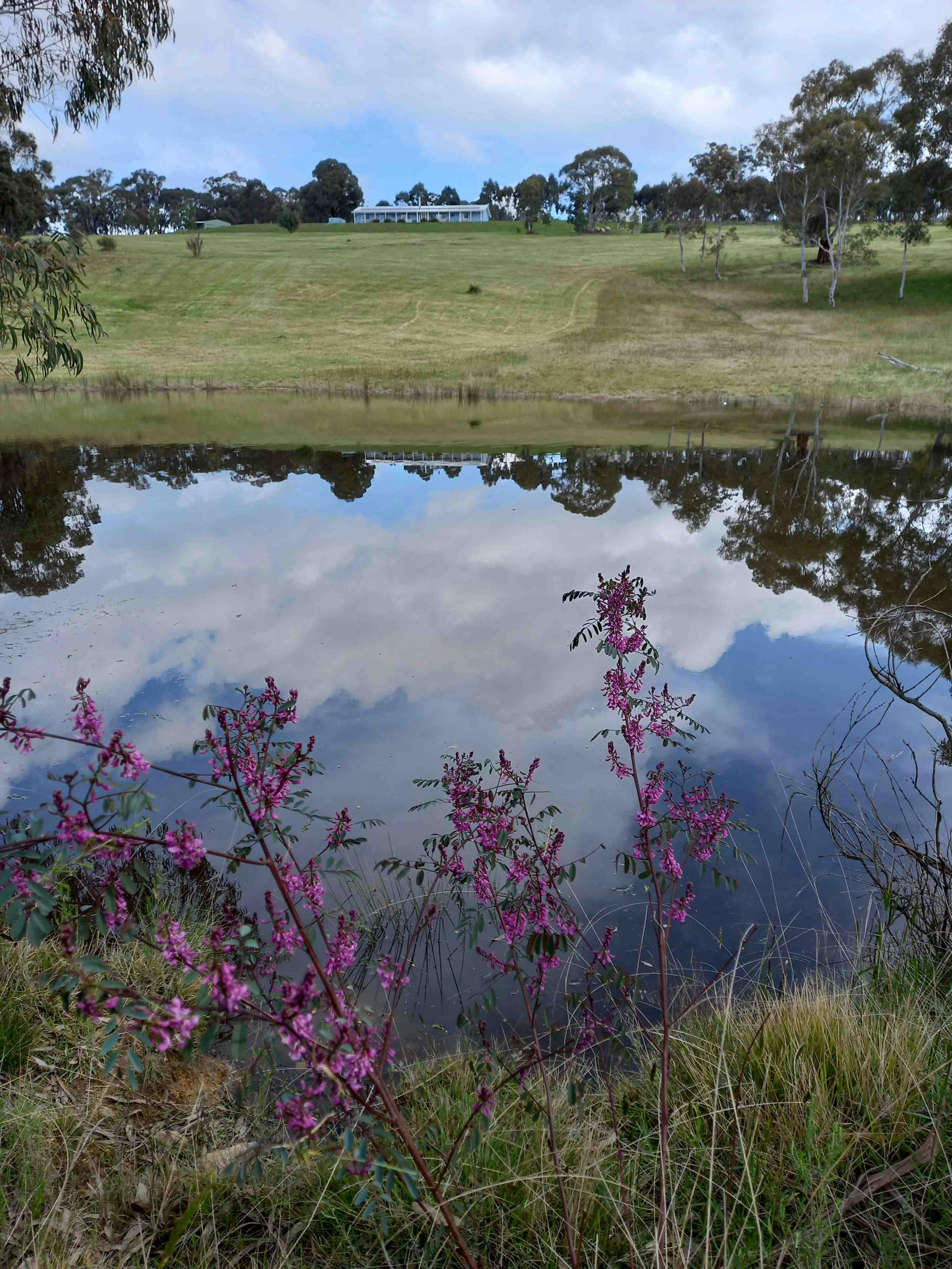lovely valley views from the house