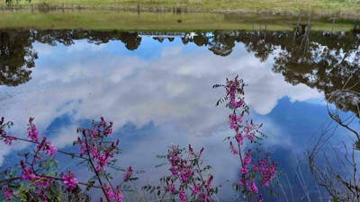 lovely valley views from the house