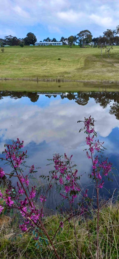 lovely valley views from the house