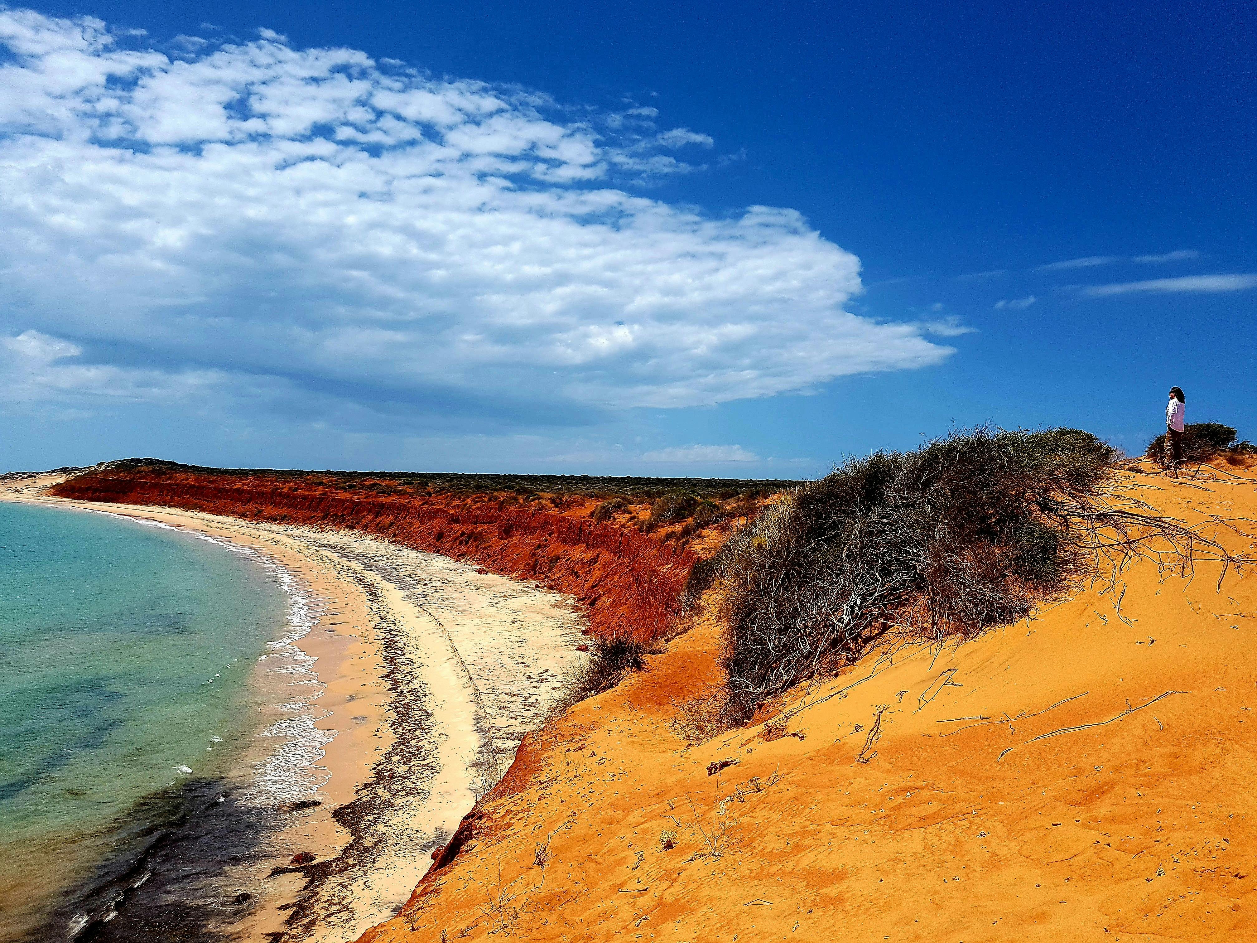 Shark Bay 4WD, Shark Bay, Western Australia